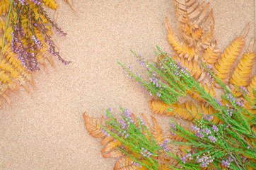 fall still life composition