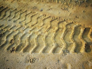 Wheel tracks on the soil.