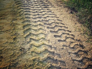 Wheel tracks on the soil.