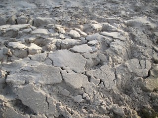 Cracked dry soil