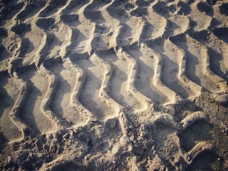 Wheel tracks on the soil.