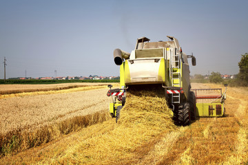 Obraz premium Combine harvester working in the field