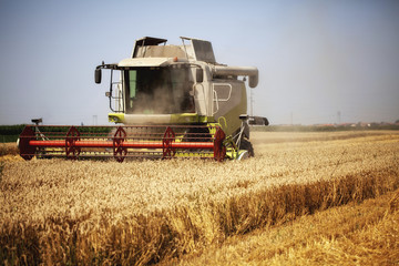 Combine harvester working in the field