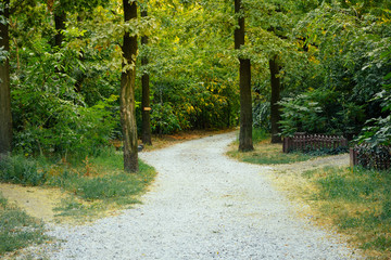 The access road from gravel in the trees on a sunny summer day