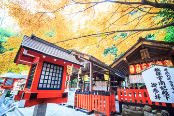 Autumn in Arashiyama,Kyoto,Japan