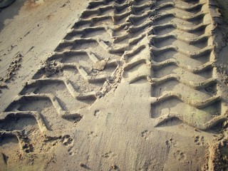 Wheel tracks on the soil.