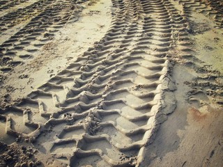 Wheel tracks on the soil.