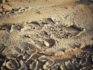 Fototapeta na wymiar Cracked dry soil
