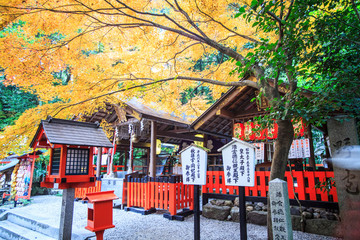 Fototapeta na wymiar Autumn in Arashiyama,Kyoto,Japan
