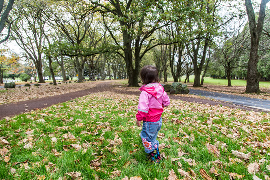 Toddler in autumn park