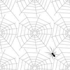 Vector seamless texture. Modern abstract background. Repeated fragment spider on the web.