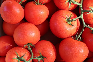 Tomaten