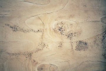 Obraz premium Old wood background