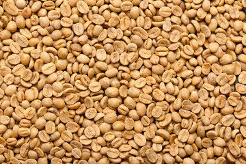Green Coffee Beans for Background Uses.