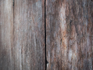 Wood door background soft focus