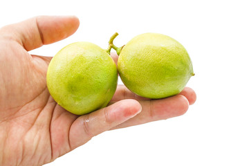 close up of fresh limes on hand