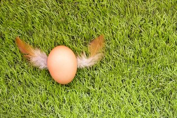 Raw egg whit artificial turf background