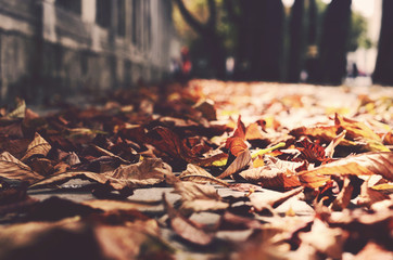 Autumn in the city - 90298849