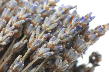 dry flowers