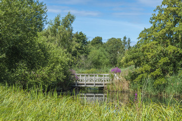 Obraz premium A small pond in London Wetlands Center - WWT nature reserve