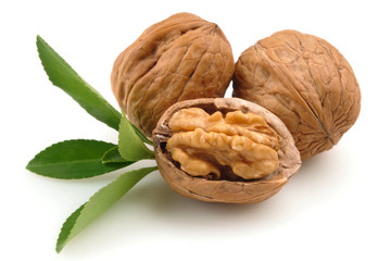 Walnut group