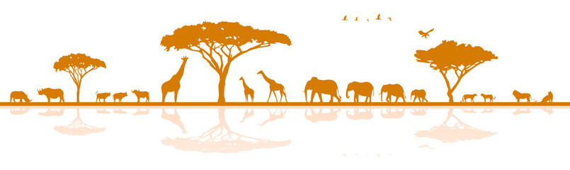Silhouette Savanne Safari Afrika