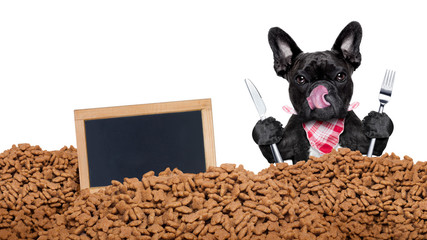 hungry dog  behind mound food