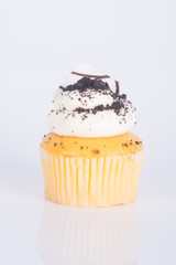 chocolate donuts on a white background