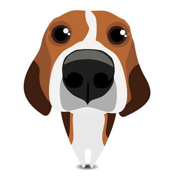 Funny sad beagle