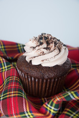 cupcake. chocolate cupcakes on the background