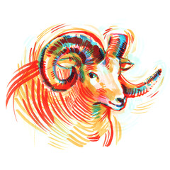 Sheep Ram with large spiral horns, sketch markers