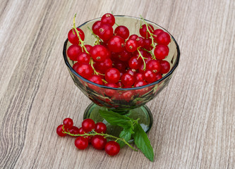 Red currant