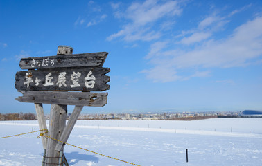 The City of Sapporo, view from Hitsujigaoka Observaition Hill in Sapporo, Hokkaido, Japan