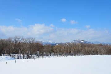 The City of Sapporo, view from Hitsujigaoka Observaition Hill in Sapporo, Hokkaido, Japan