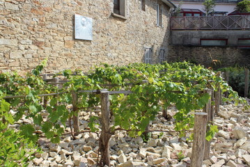 Le Jardin de la Paix à Quimper