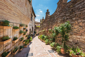 Floral wall in Spello, Umbria