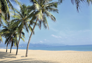 Fototapeta na wymiar Nha Trang beach, Vietnam