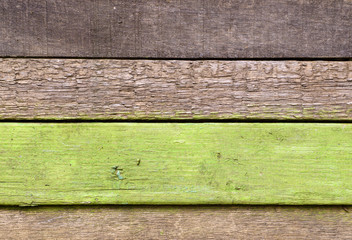 wooden background with one green colored plank