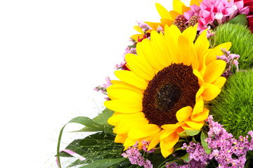 Naklejka premium Beautiful colorful fresh sunflower, isolated on white background