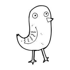 funny cartoon bird