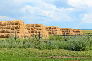 Haystacks in the summer afternoon
