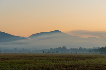 Dawn of the field