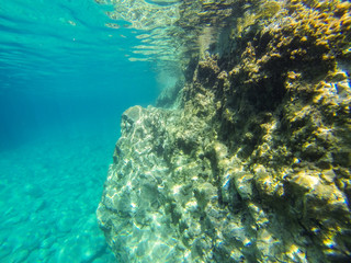 Fototapeta na wymiar snorkerilng in the seas of Sicily