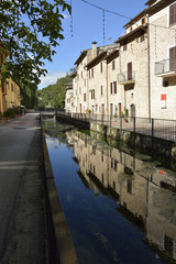 Scheggino
