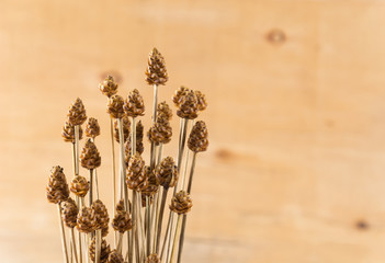 dry grass flower on wood background