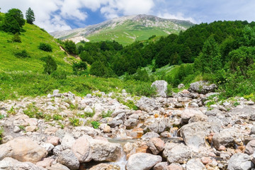 Brook in the North Caucasus.
