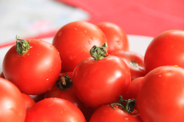 tomaten aus dem garten