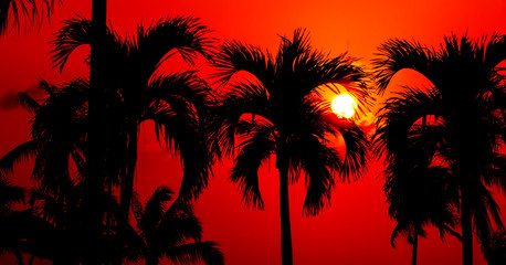 Fototapeta na wymiar contrast tropical sunset