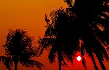 Obraz na płótnie Canvas contrast tropical sunset