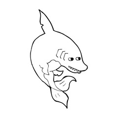 funny cartoon shark